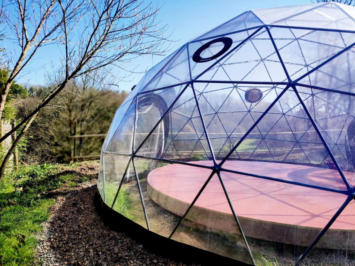 La Tisserande : Maison D'Hotes Creative & Ecologique Saint-Thegonnec Loc-Eguiner Ngoại thất bức ảnh
